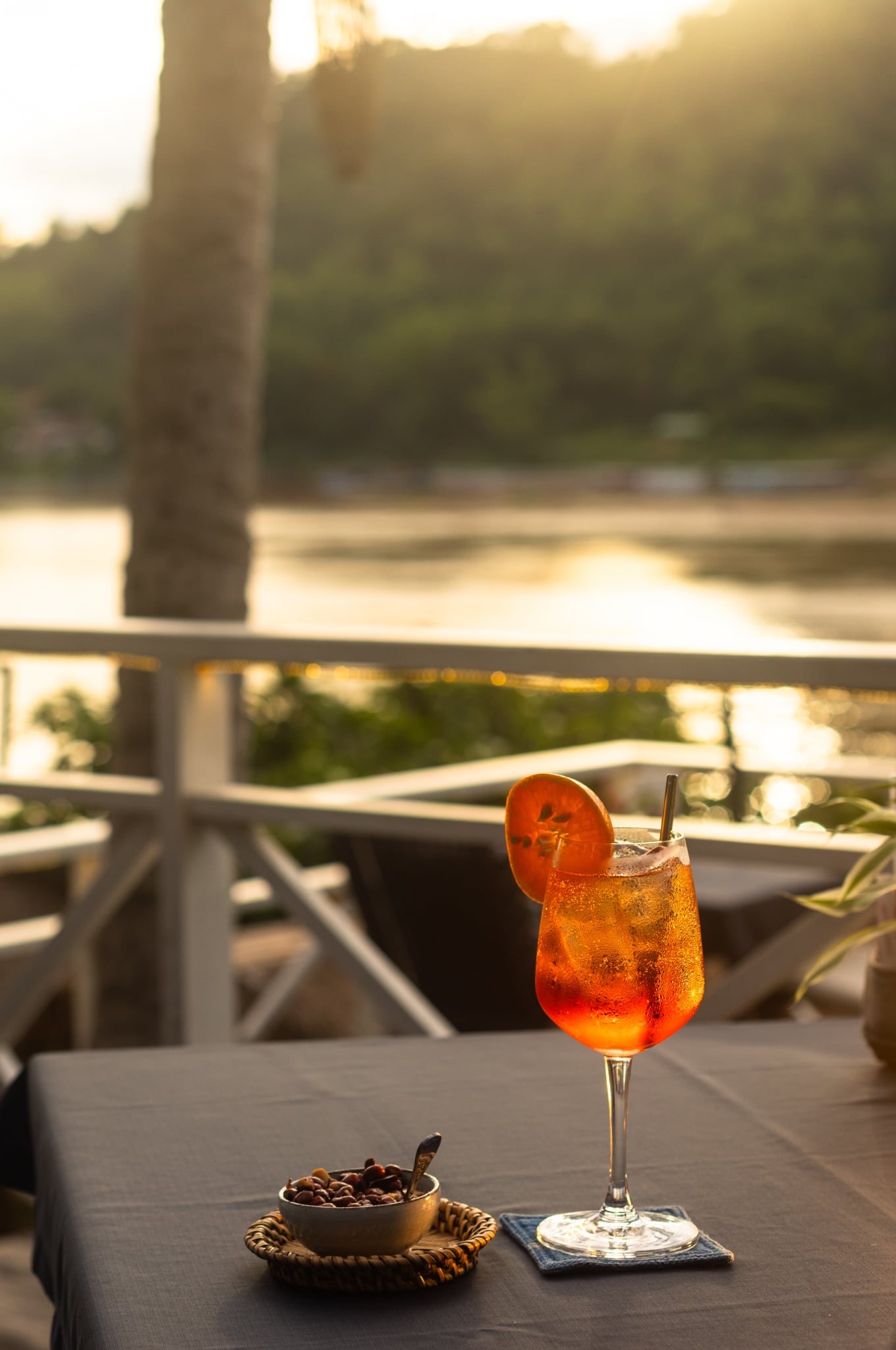 View over the Mekong from the terrace